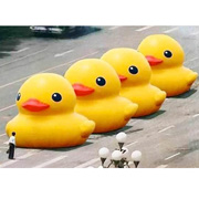 inflatable rubber duck